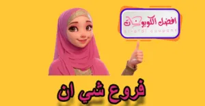 فروع شي ان
