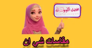 مقاسات شي ان