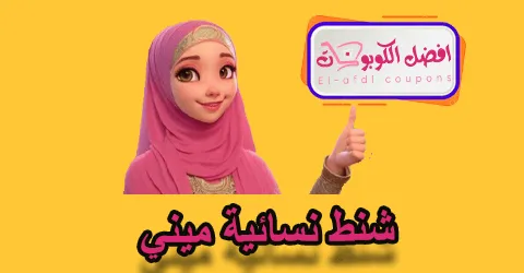 شنط نسائية ميني