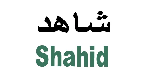 شاهد - shahid