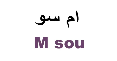 msou-online